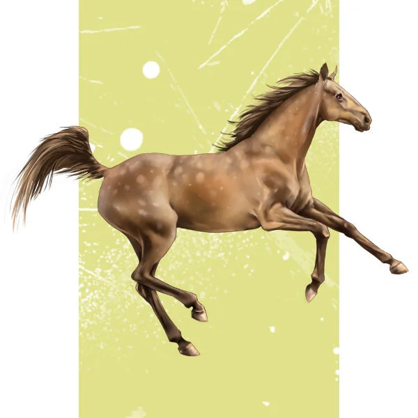 HorsesConcept5.jpeg