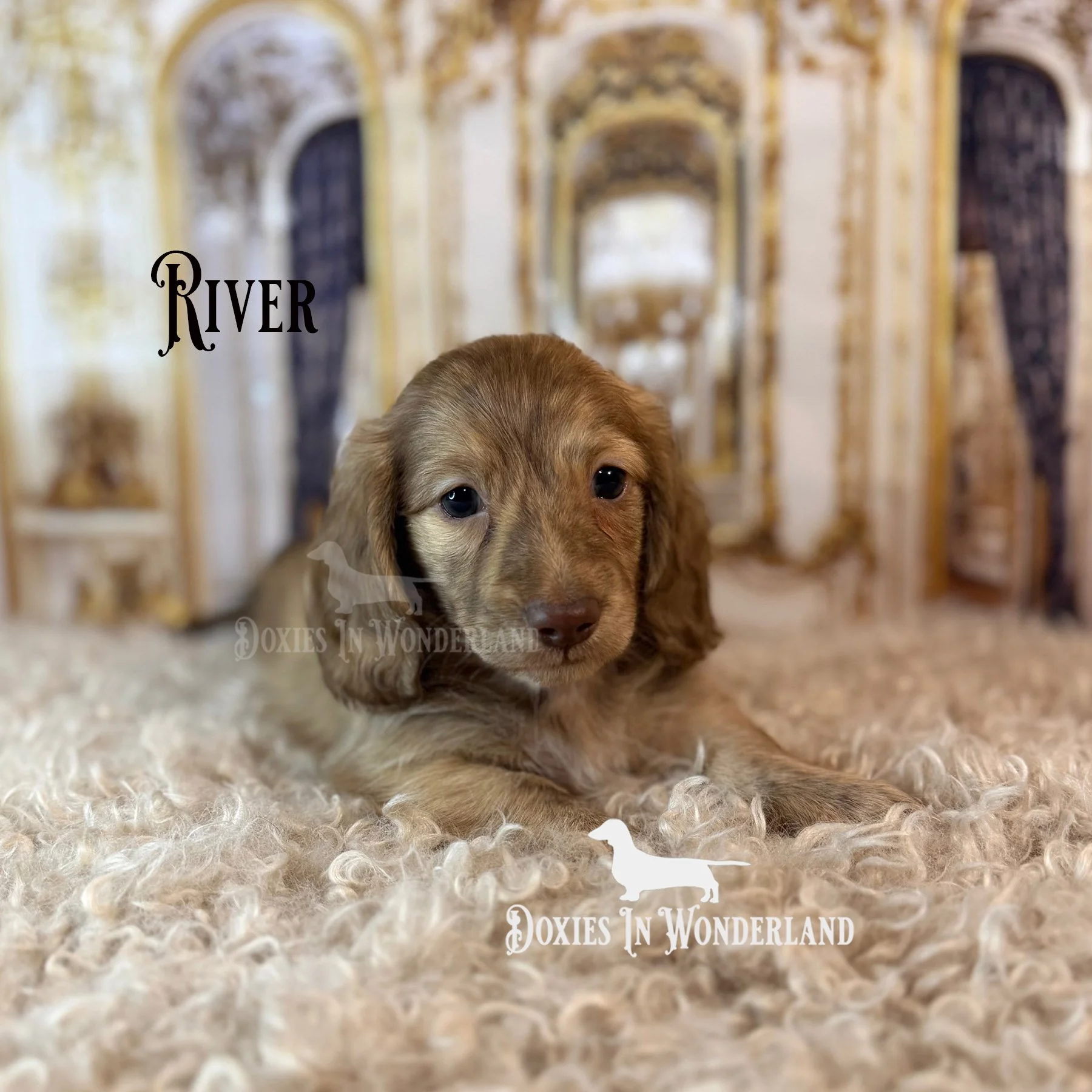 River 6 wks copy.jpg