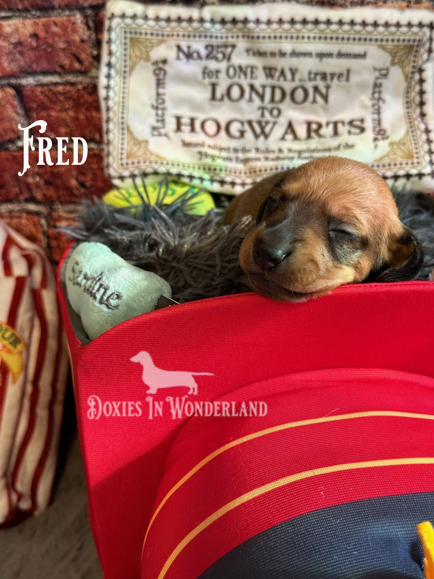 fred week 3.1.jpg