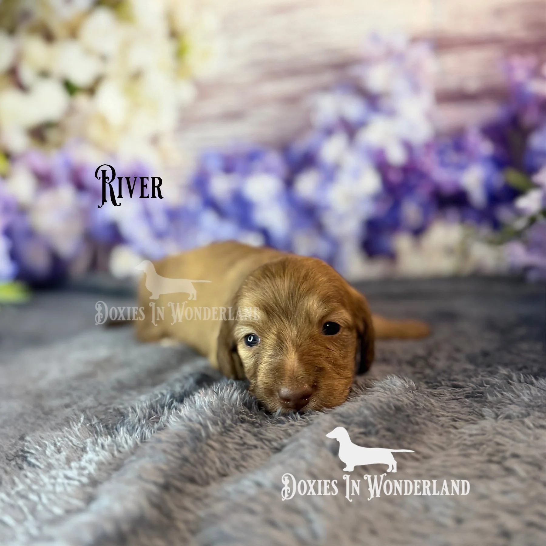 river 3 weeks copy.jpg