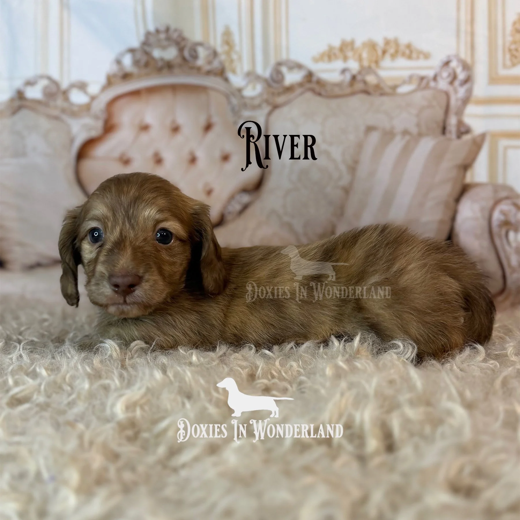 River 4 wks copy.jpg