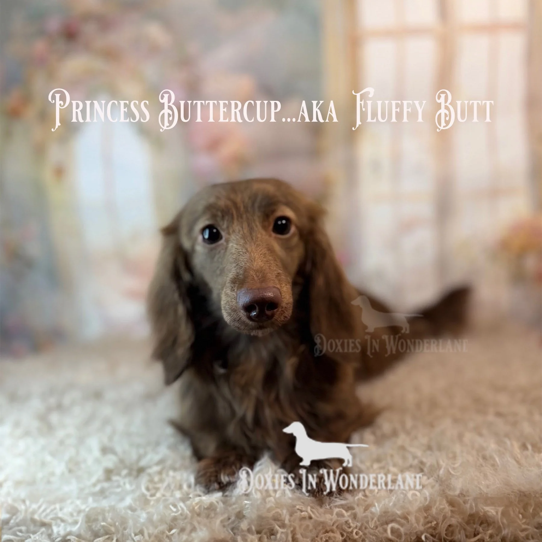 Do i look pregnant to you copy.jpg