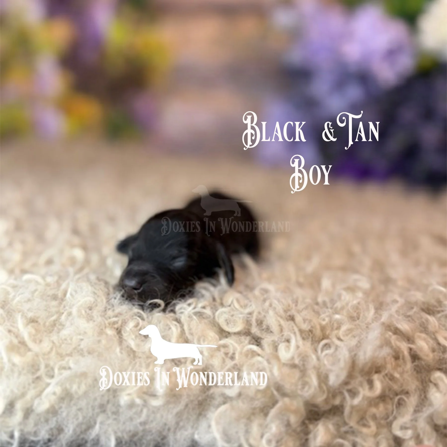 B&T boy 5 days copy.jpg