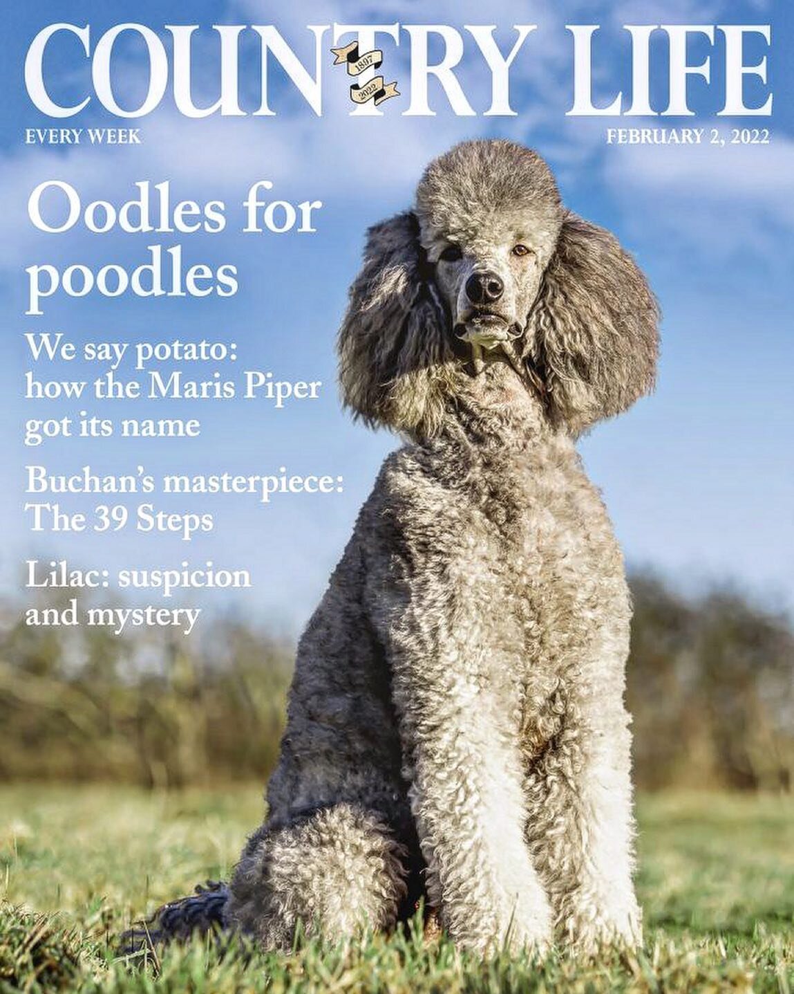 We&rsquo;ve made it to the month of love 💙 and our embroidered chinos have been included in Country Life&rsquo;s Valentines gift recommendation (naturally). Use code LOVEBUCOLIC for 20% off ahead of the big day 💙