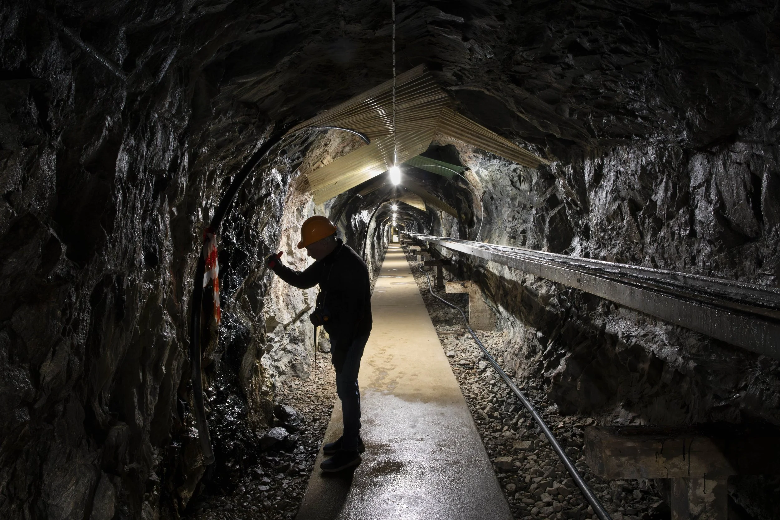Searching for small fungi species
