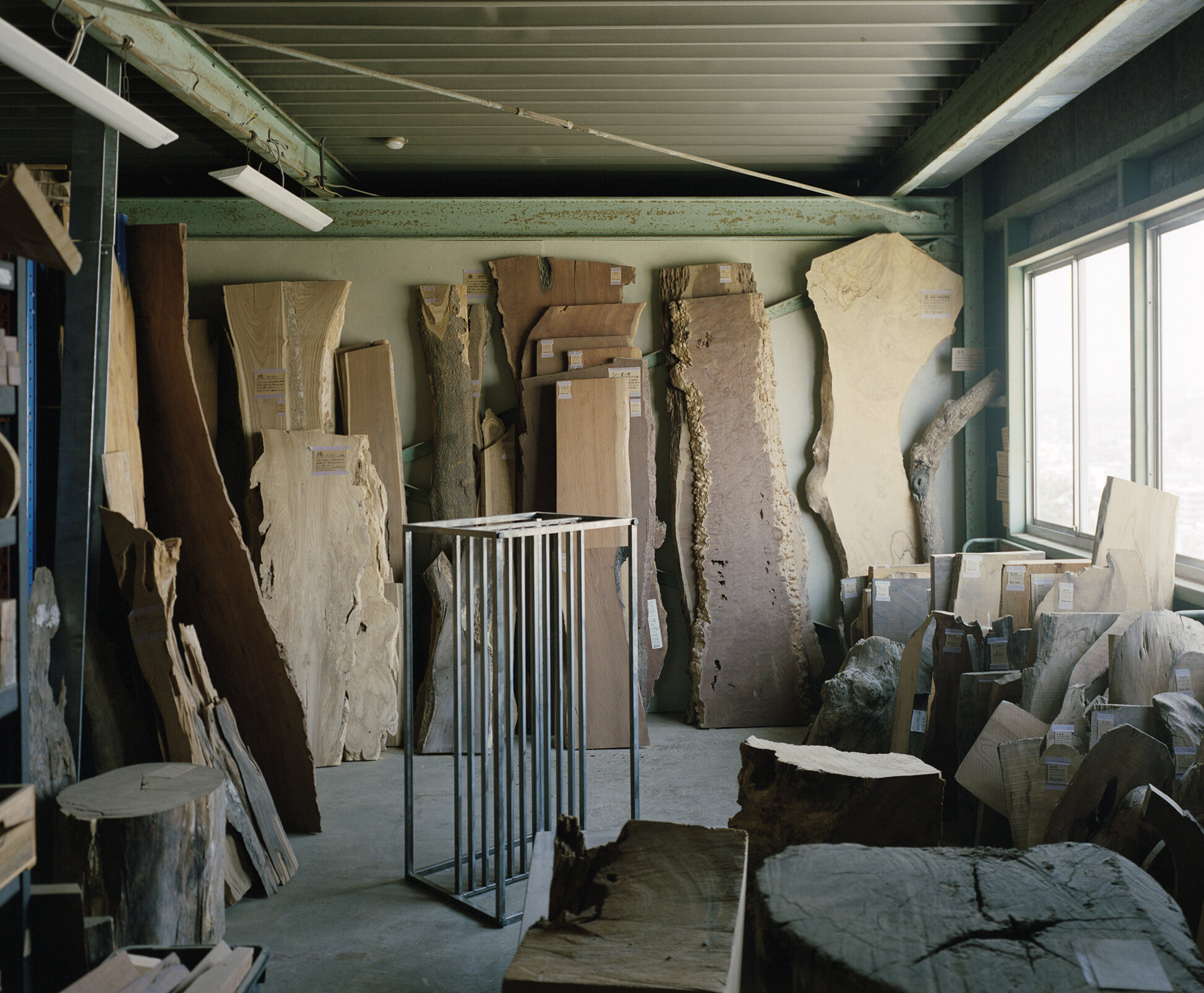 T Plaster — KATSU TANAKA Photography