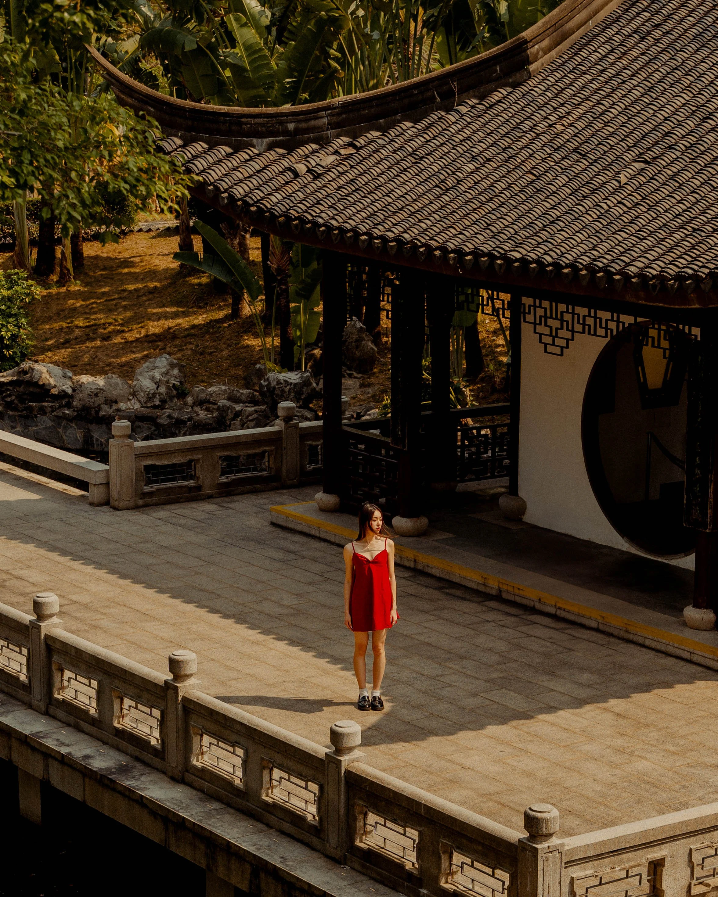 GIRL IN THE RED DRESS (PERSONAL)