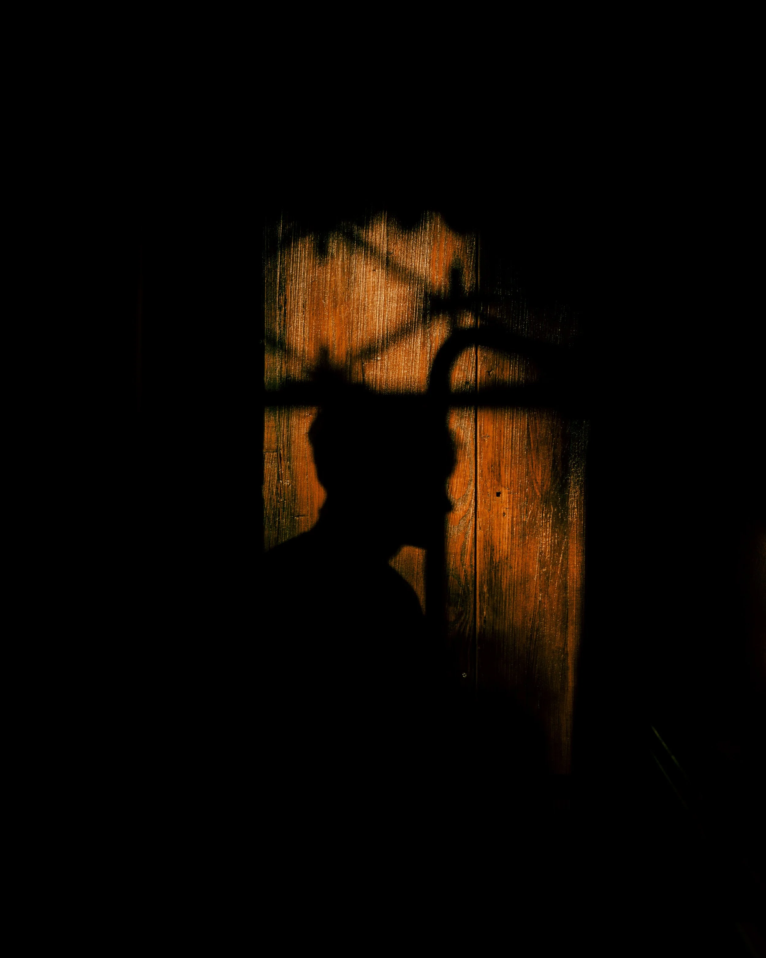 DSC08271.jpg