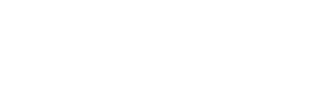 NB8 Nordic Circle Mentoring Program