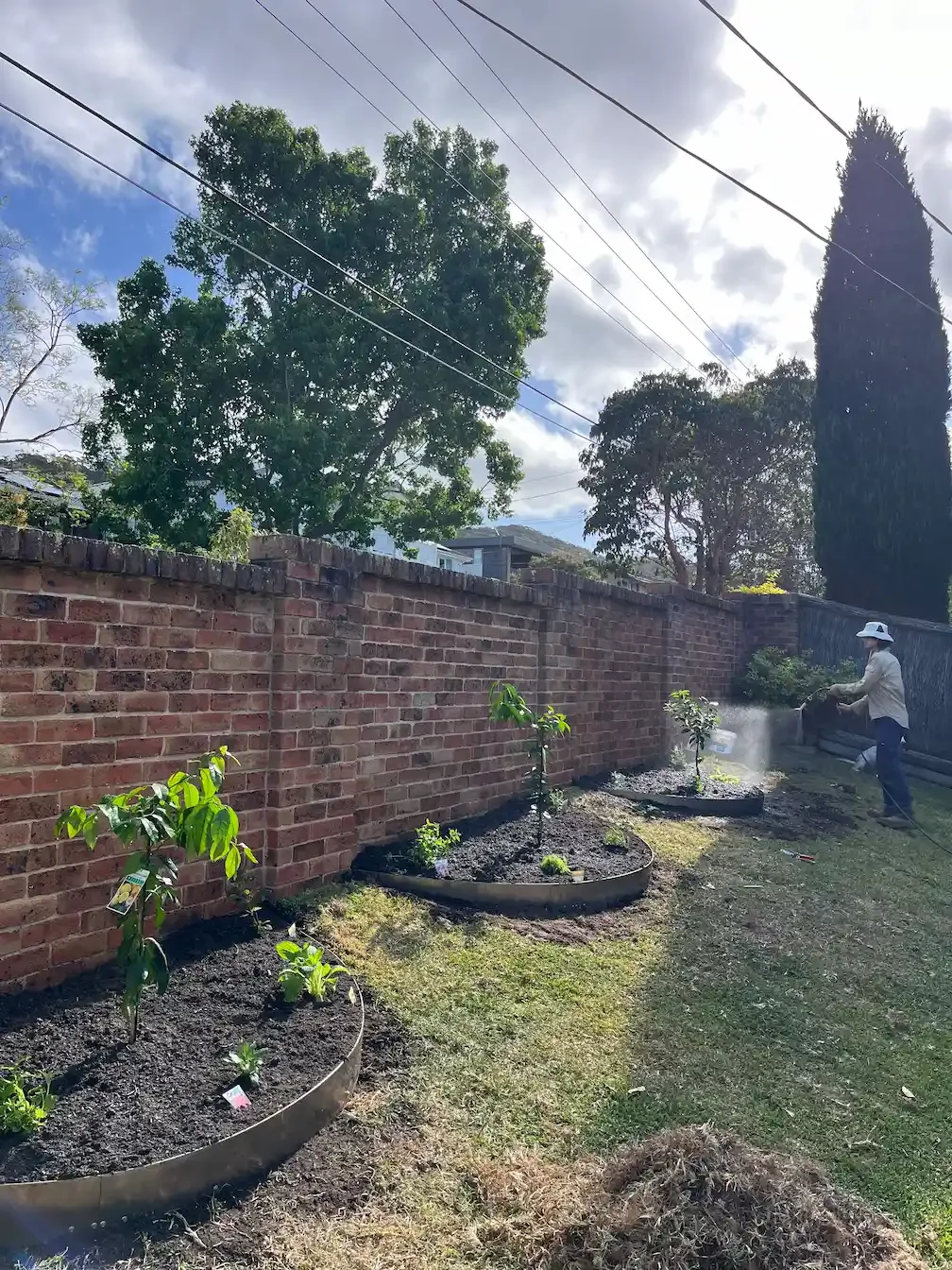 permablitz_cromer_watering.webp