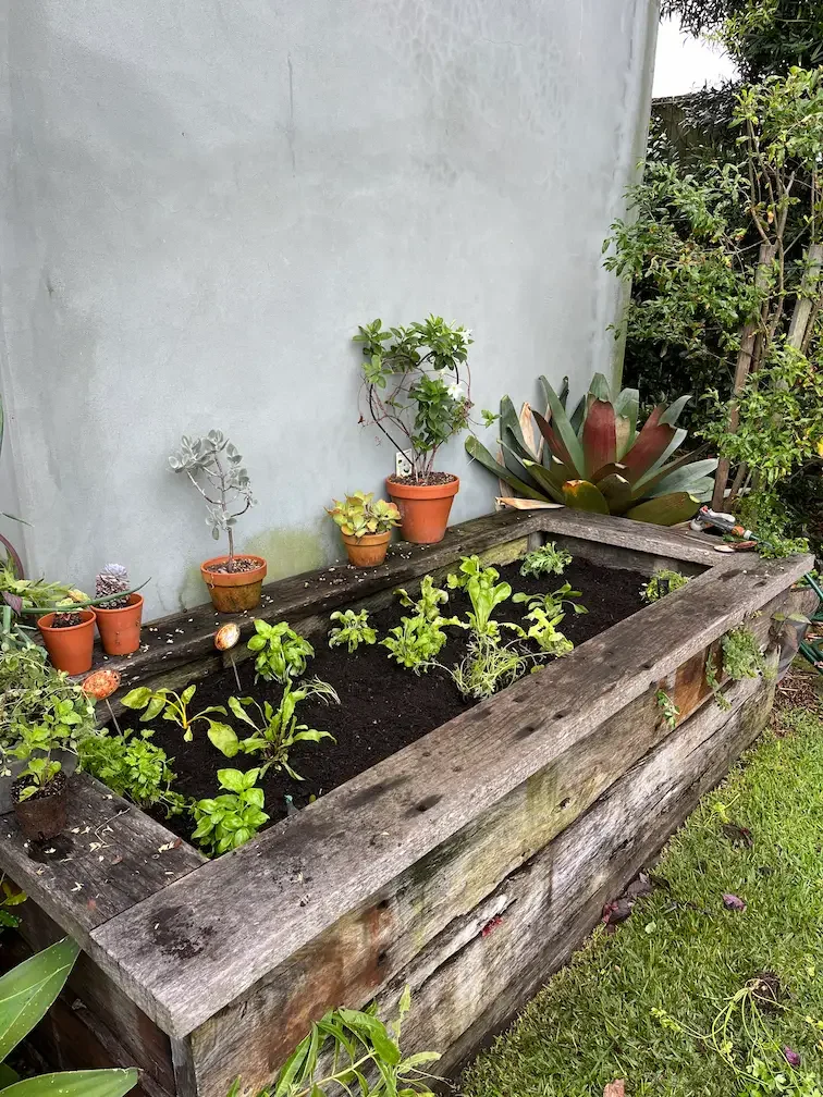 Vegetable Garden – Vaucluse
