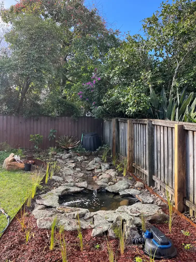 landscape-construction-belrose-pond.webp