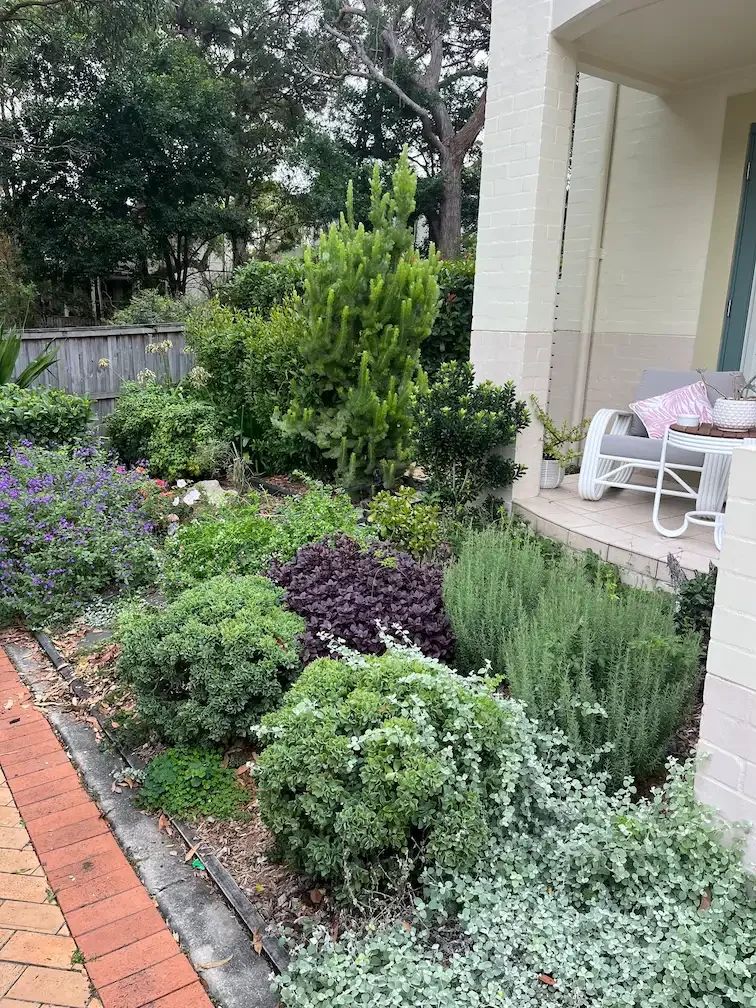 landscaping_monavale_before.webp