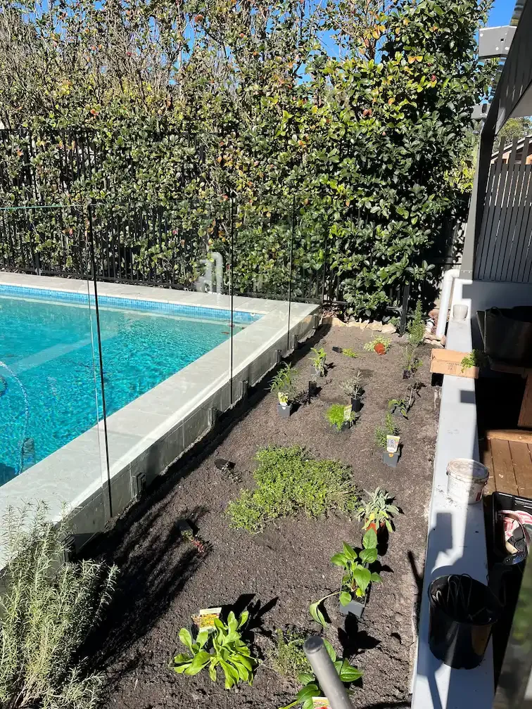 Herb Garden – Balgowlah