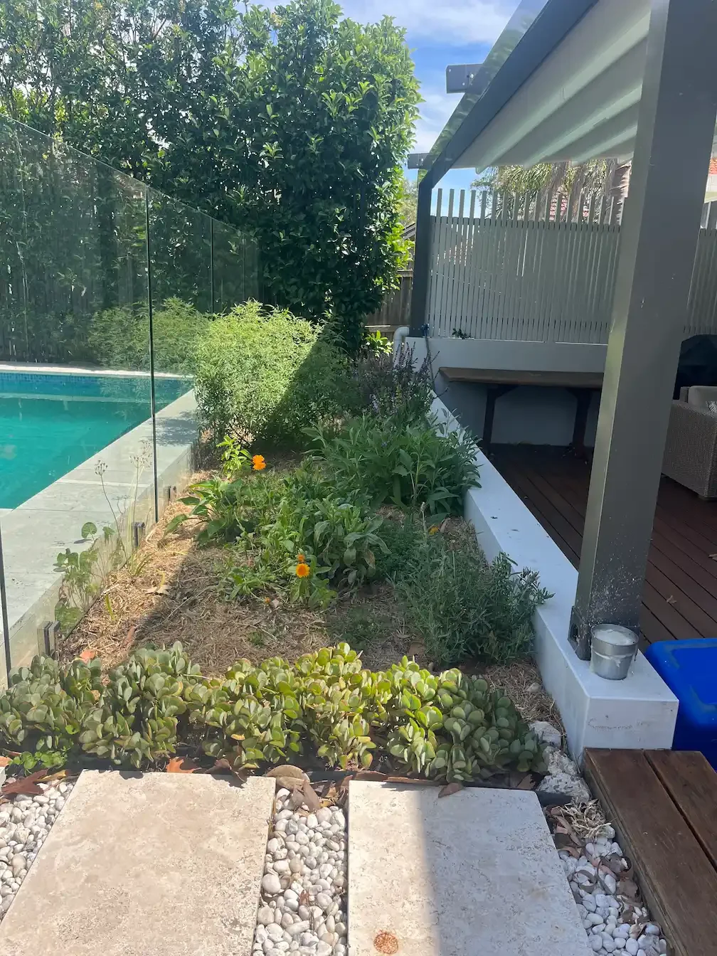 Herb Garden – Balgowlah