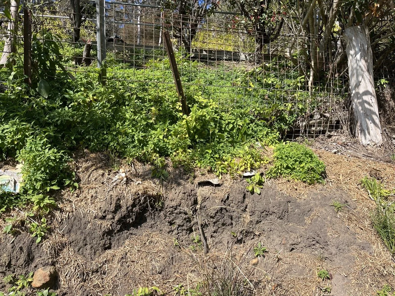 IMG_5490 Large 2.jpeg