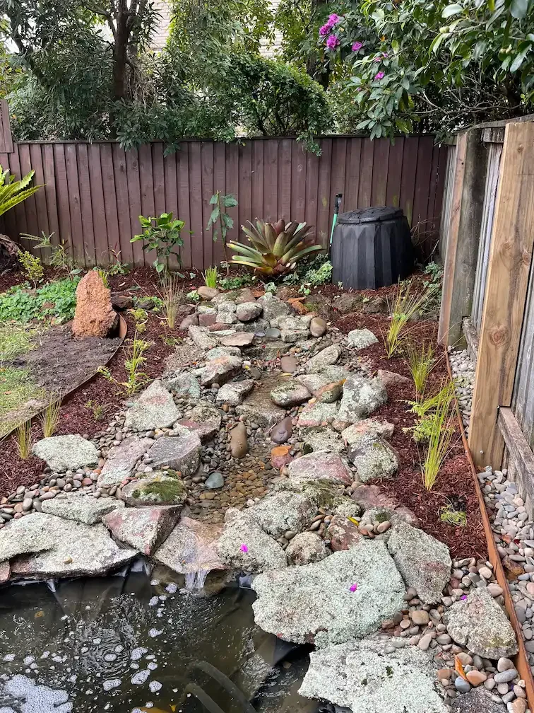 pond-install-belrose-complete.webp