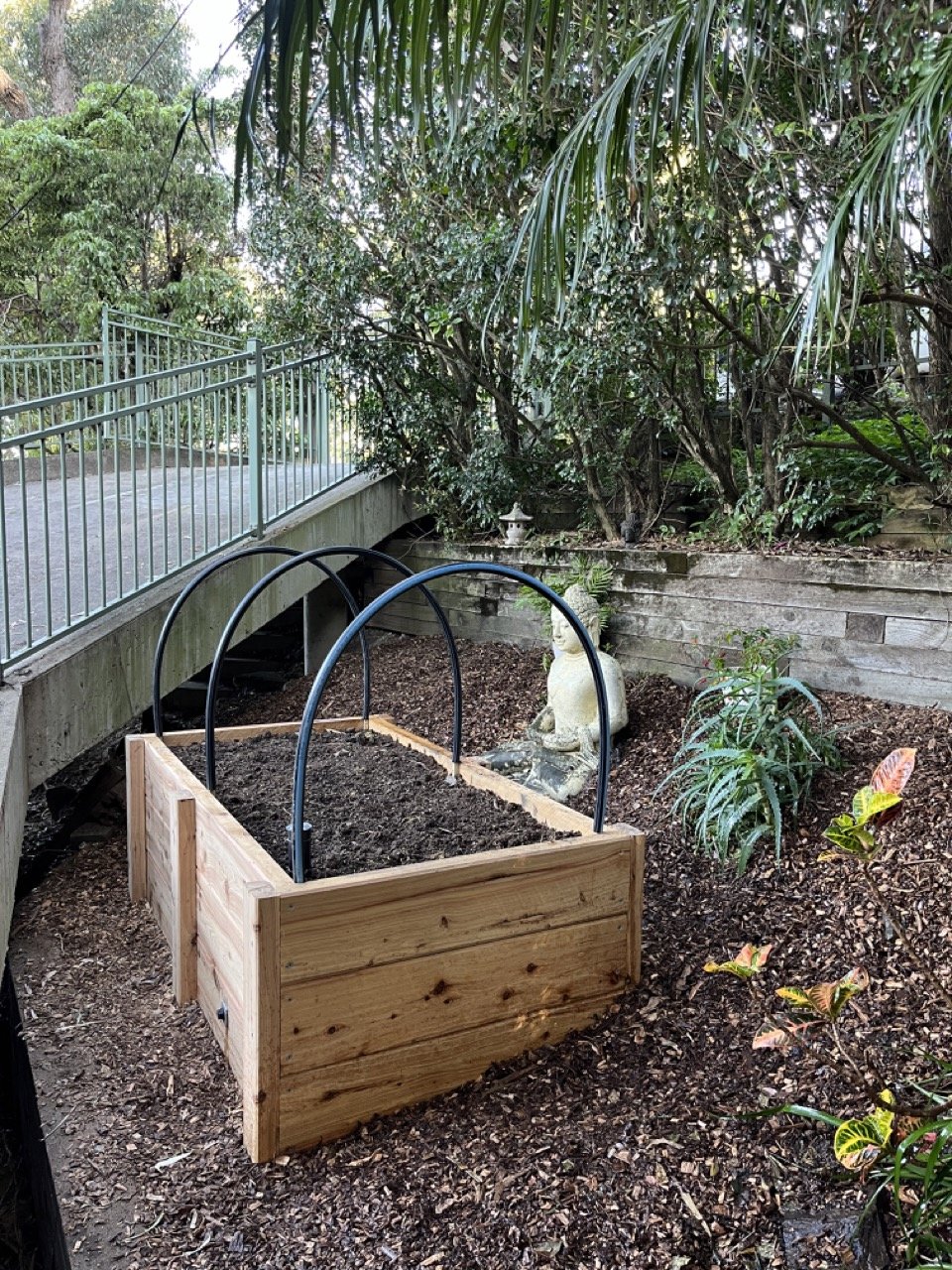 Various potted plants in a garden with a yellow tag that reads 'Surplus studio' in black marker, with lush green foliage in the background.