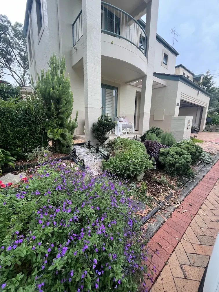landscaping_monavale_before_1.webp