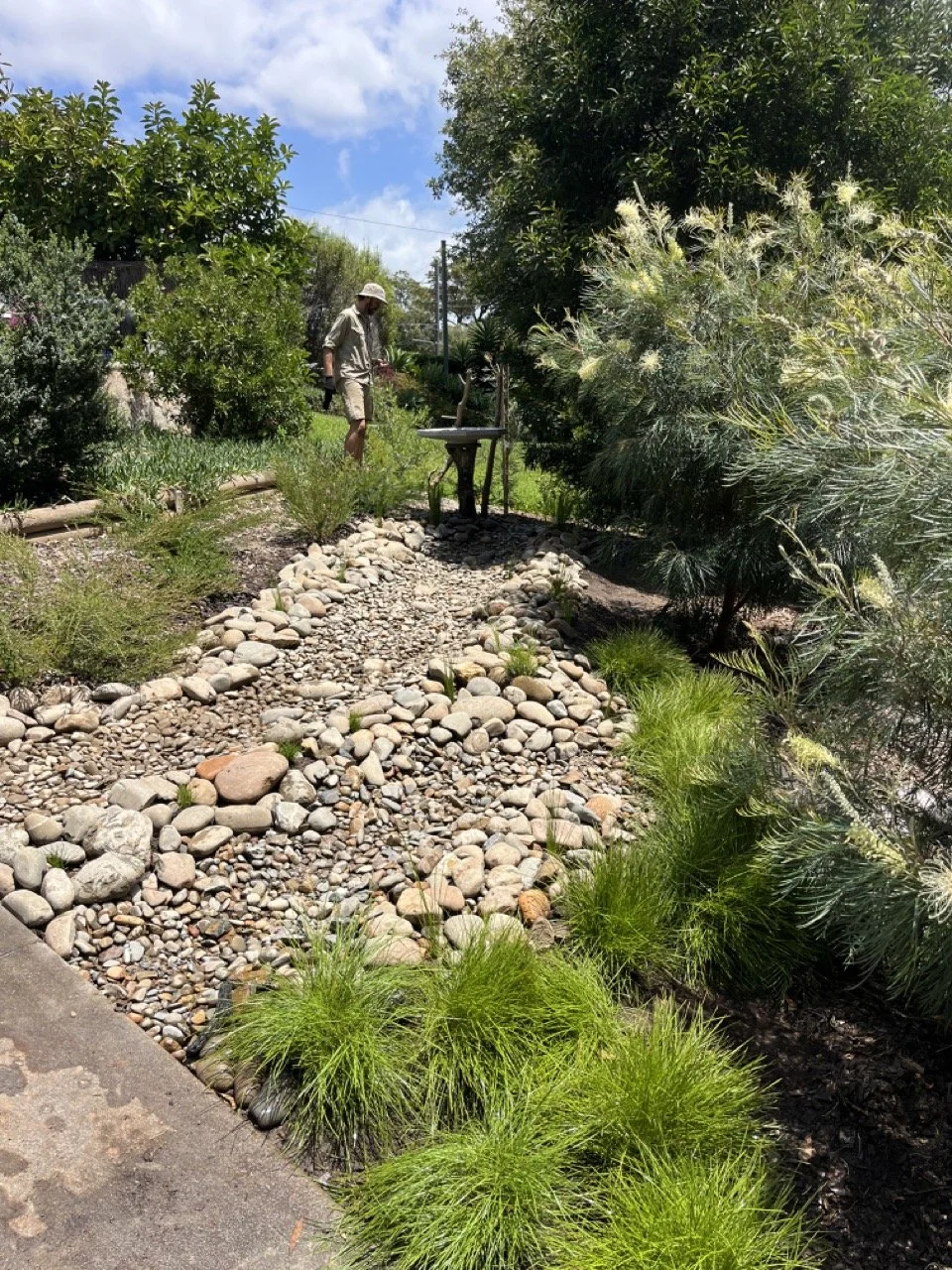 A yellow bulldozer on a dirt trail in a forest surrounded by tall evergreen trees.