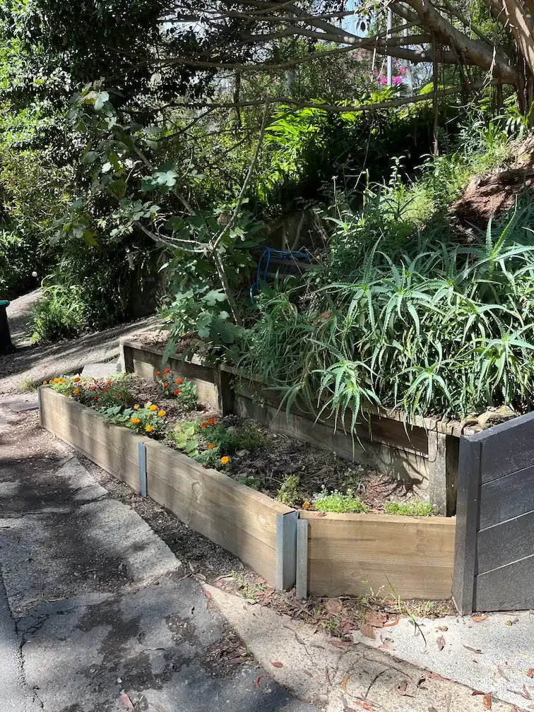 Retaining wall and garden bed