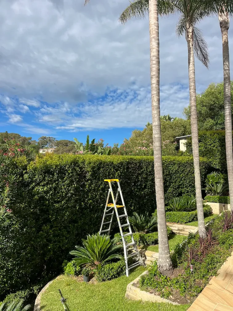 Garden Maintenance