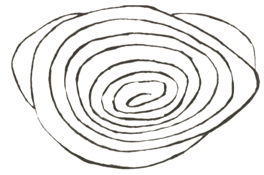 Zeichnung eines spiralförmigen Musters auf schwarzem Hintergrund.