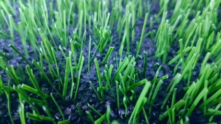 Another Look At Non-Filled Artificial Turf