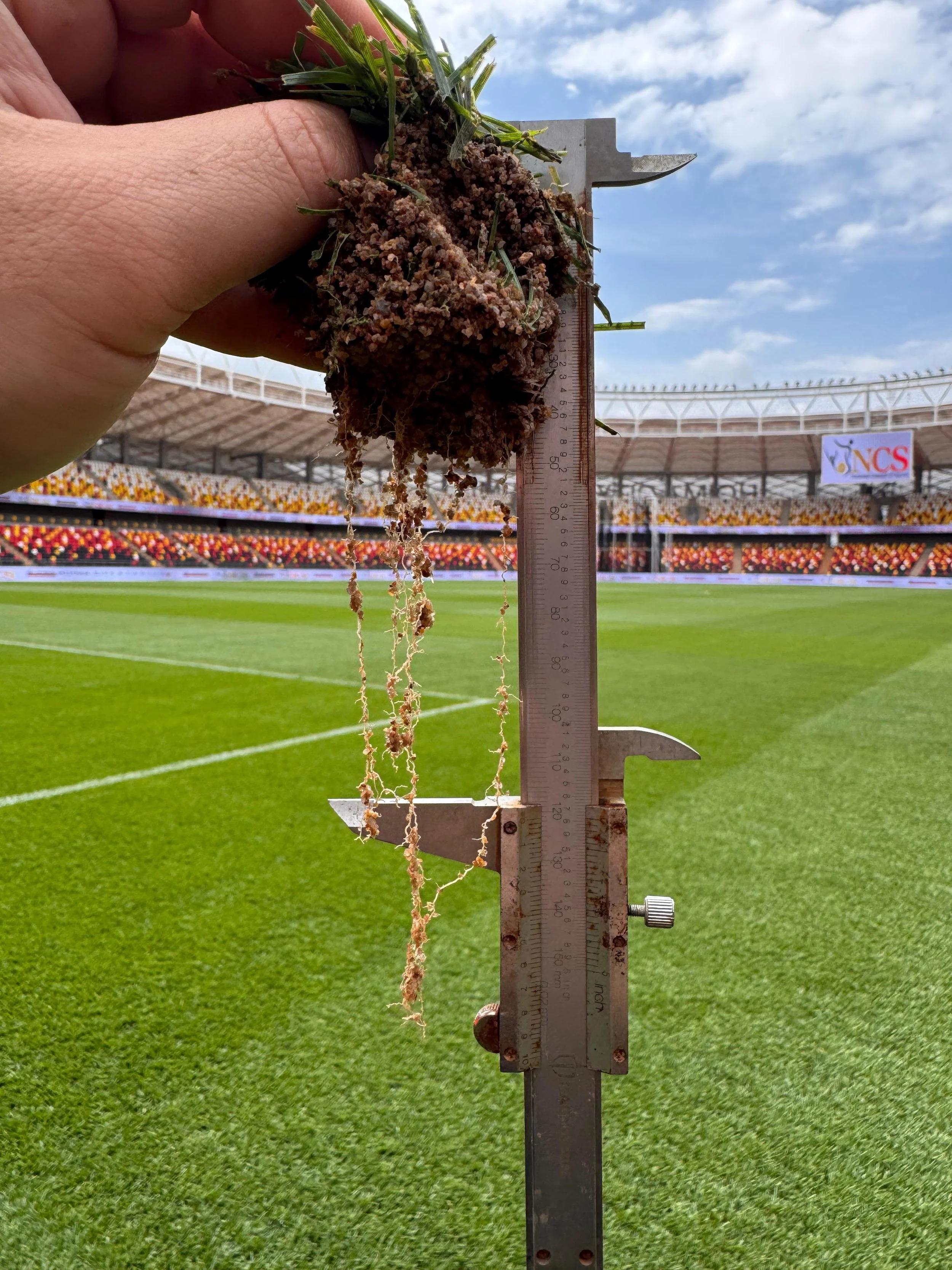 WhatsApp Image 2025-11-10 at 09.01.29.jpeg