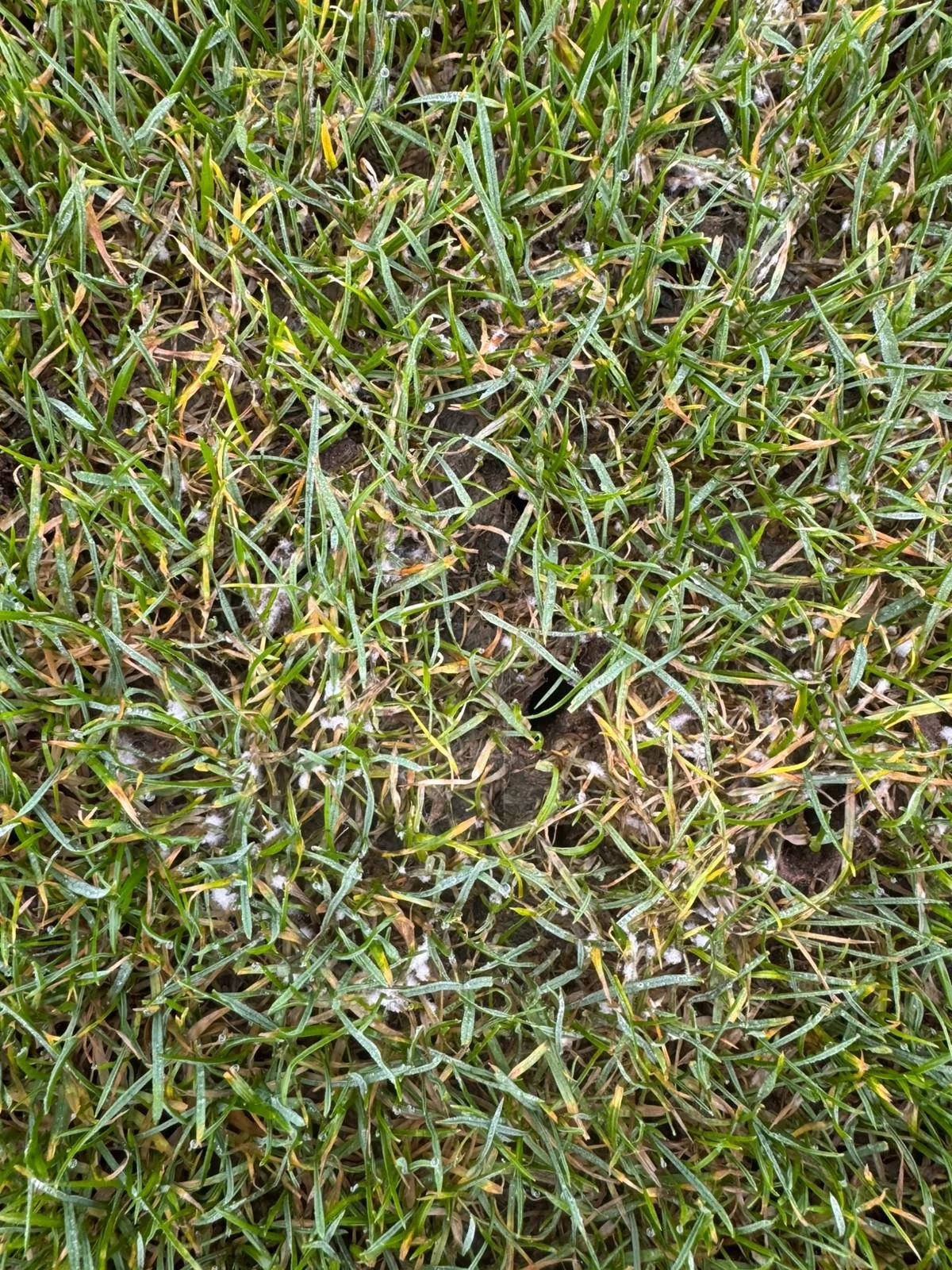 WhatsApp Image 2025-12-17 at 12.36.09 (3).jpeg