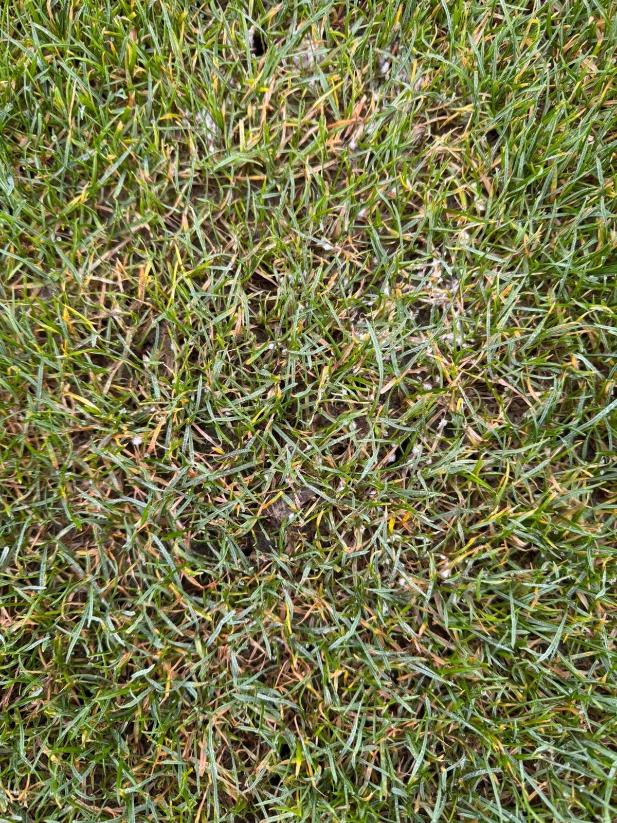 WhatsApp Image 2025-12-17 at 12.36.09 (1).jpeg