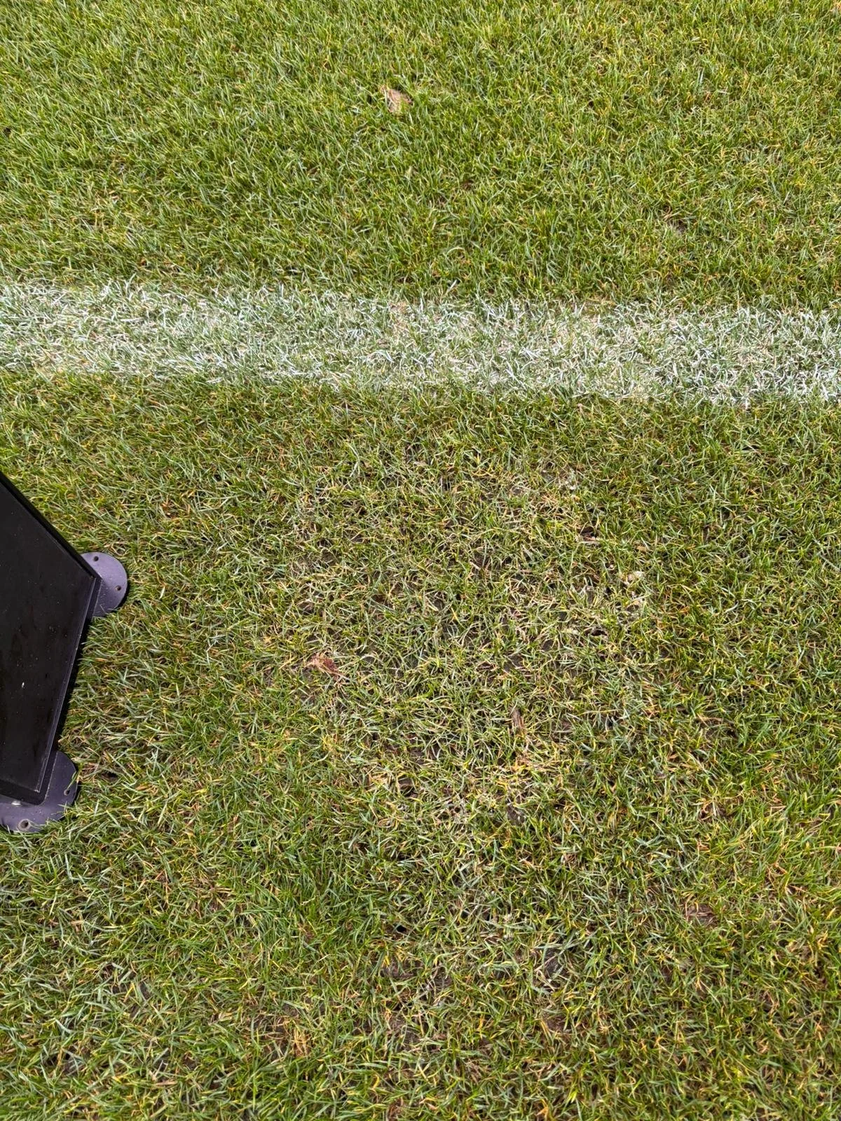 WhatsApp Image 2025-12-17 at 12.36.08 (1).jpeg