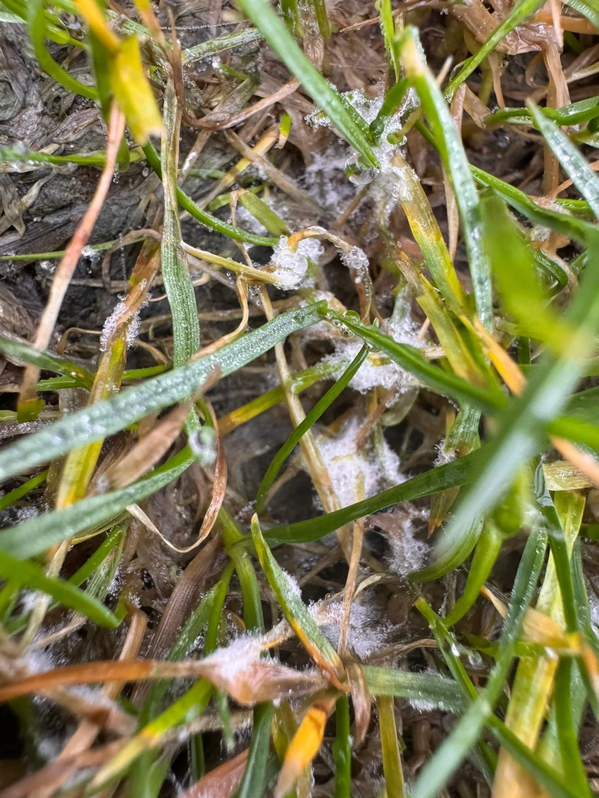 WhatsApp Image 2025-12-17 at 12.36.08.jpeg