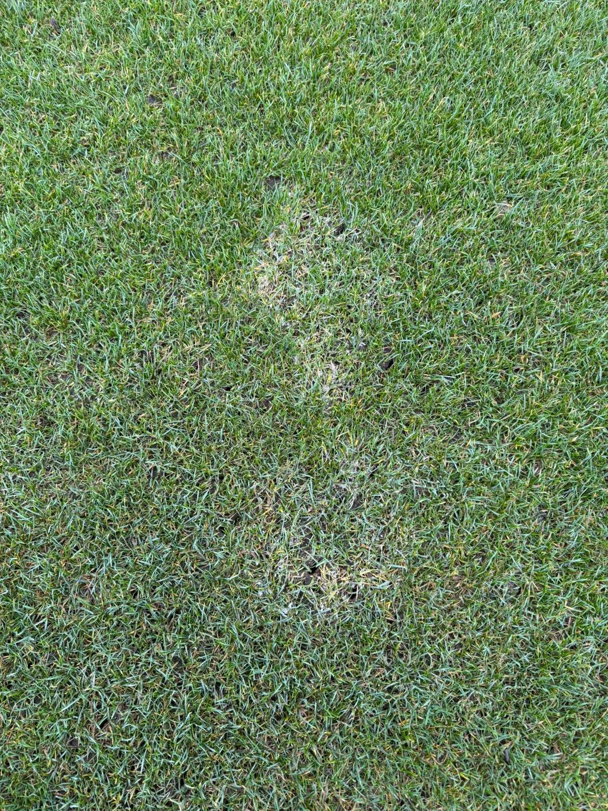 WhatsApp Image 2025-12-17 at 12.36.09 (6).jpeg