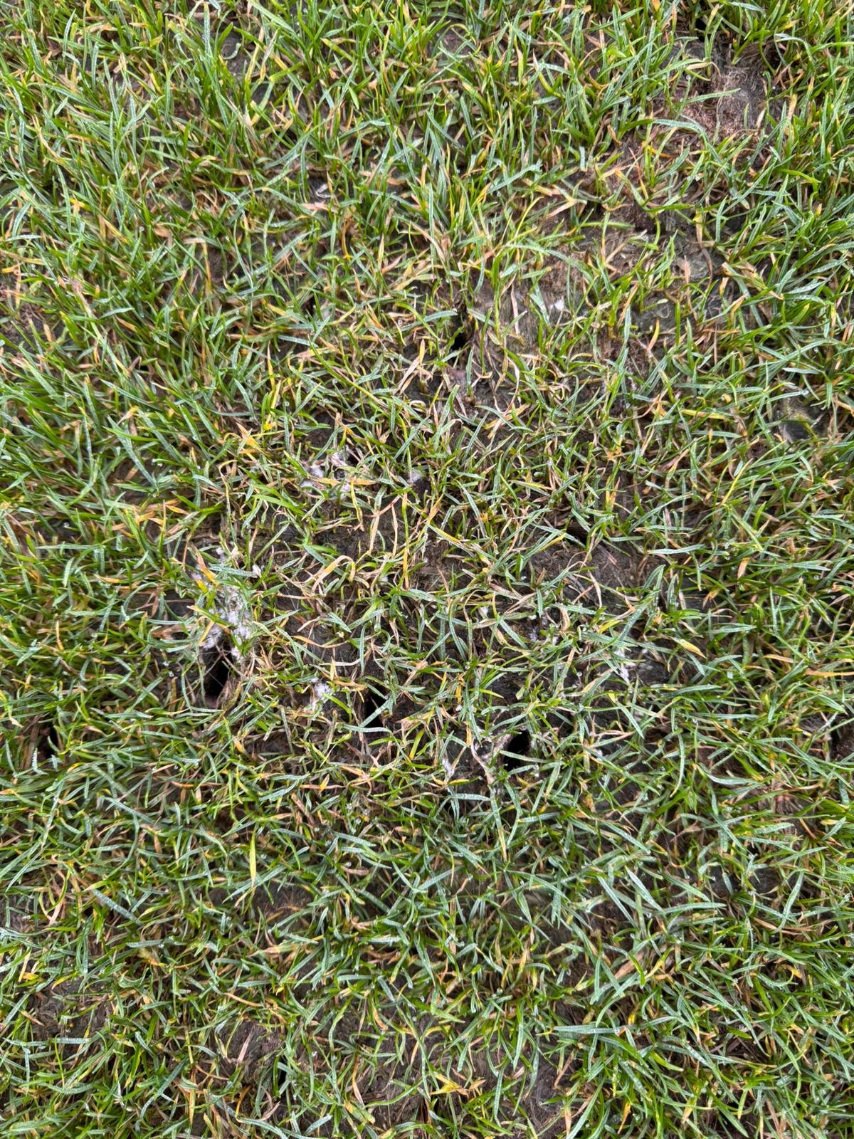 WhatsApp Image 2025-12-17 at 12.36.09 (5).jpeg