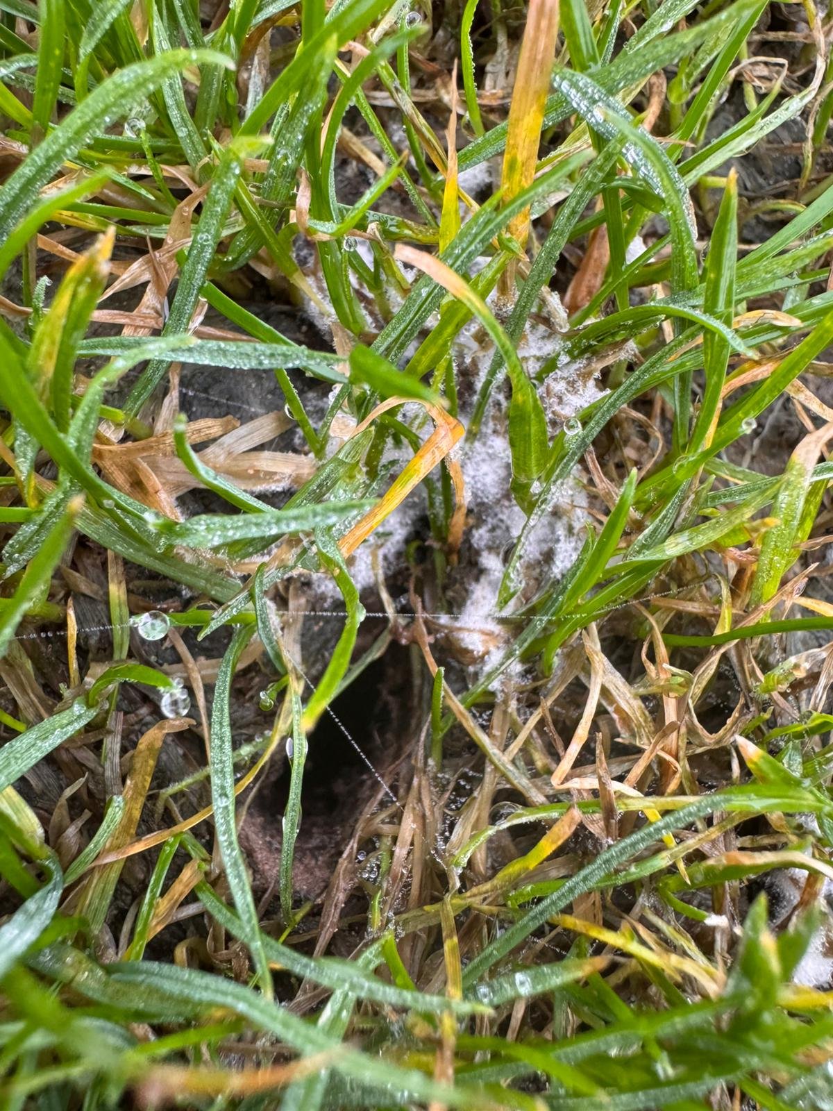 WhatsApp Image 2025-12-17 at 12.36.09 (7).jpeg