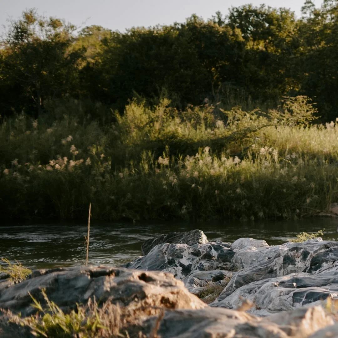 ✨ Eswatini has her own wordless magic ✨ 
#organicskincare
#vegan
#crueltyfree 
#glow 
#sustainable 
#smallbusinessuk 
#womanfounder
#skininflammation 
#skinbarrier 
#menopause
#perimenopause
#collagen 
#proaging 
#beautyfromwithin 
#beautysupplement