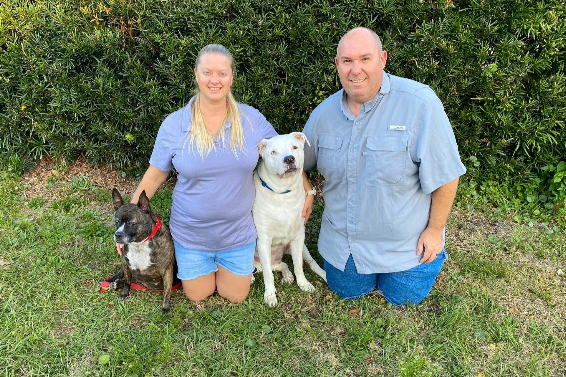 D&amp;T Property Maintenance