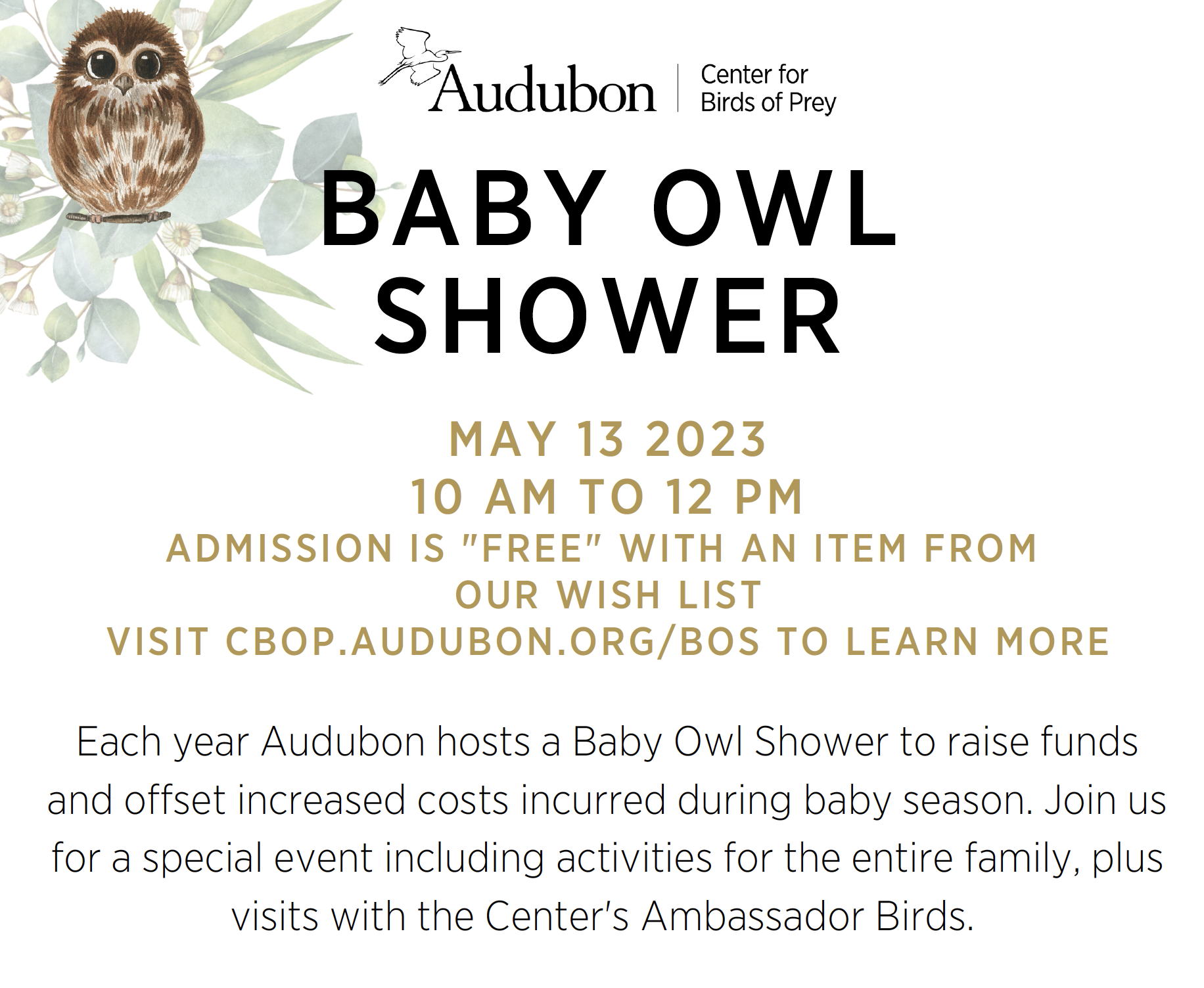 Audubon's Annual Baby Owl Shower 2023