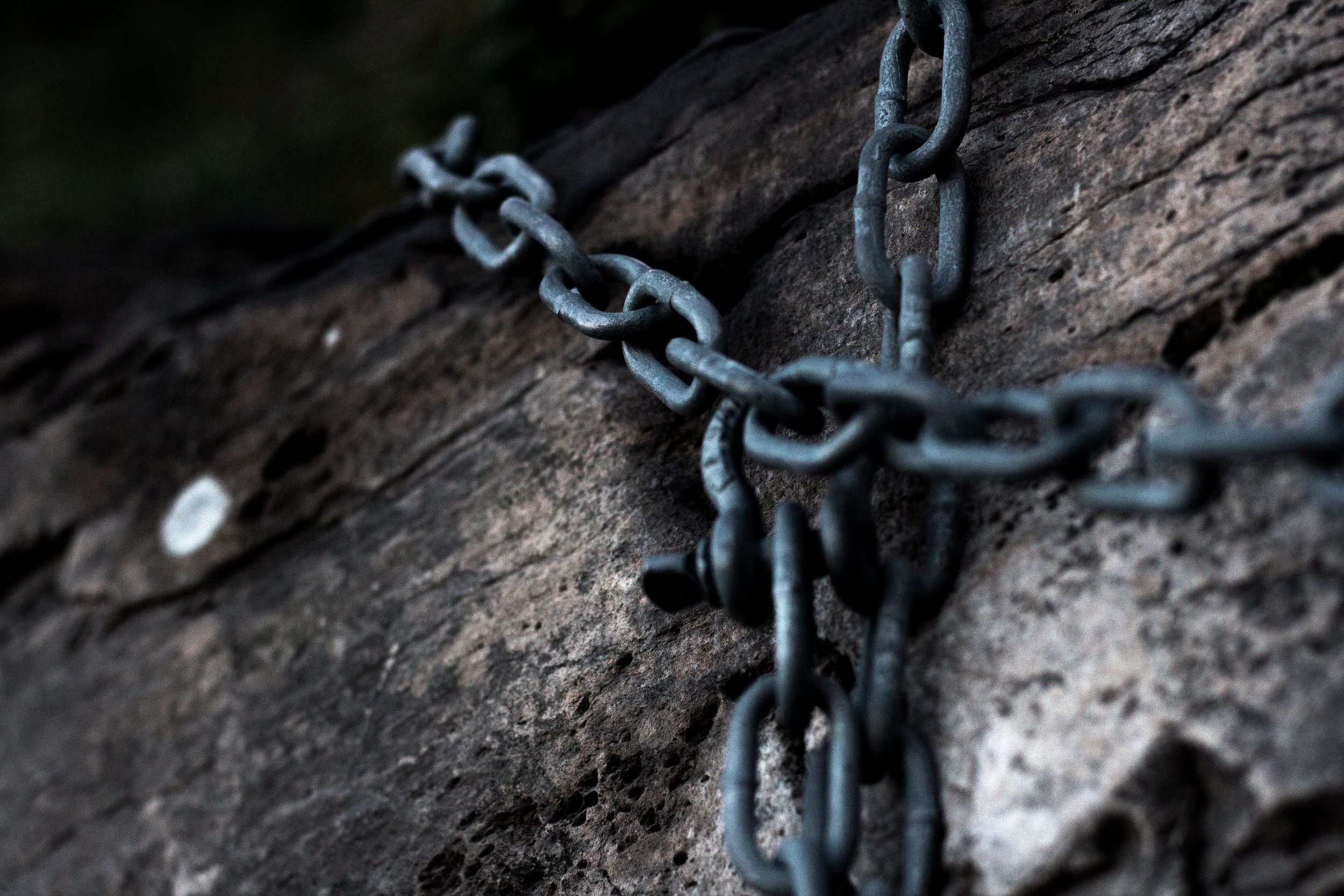 AdobeStock_281853176.jpeg
