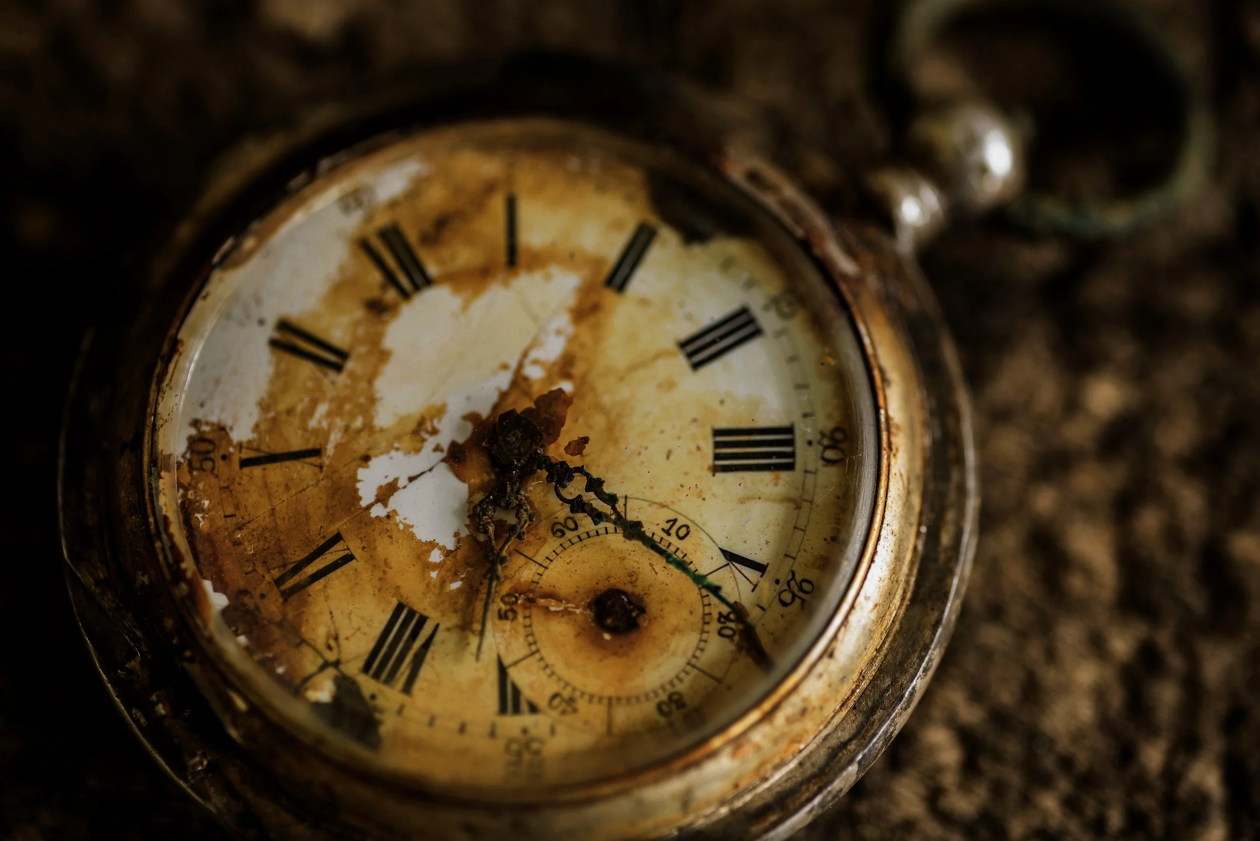 AdobeStock_129125971.jpeg