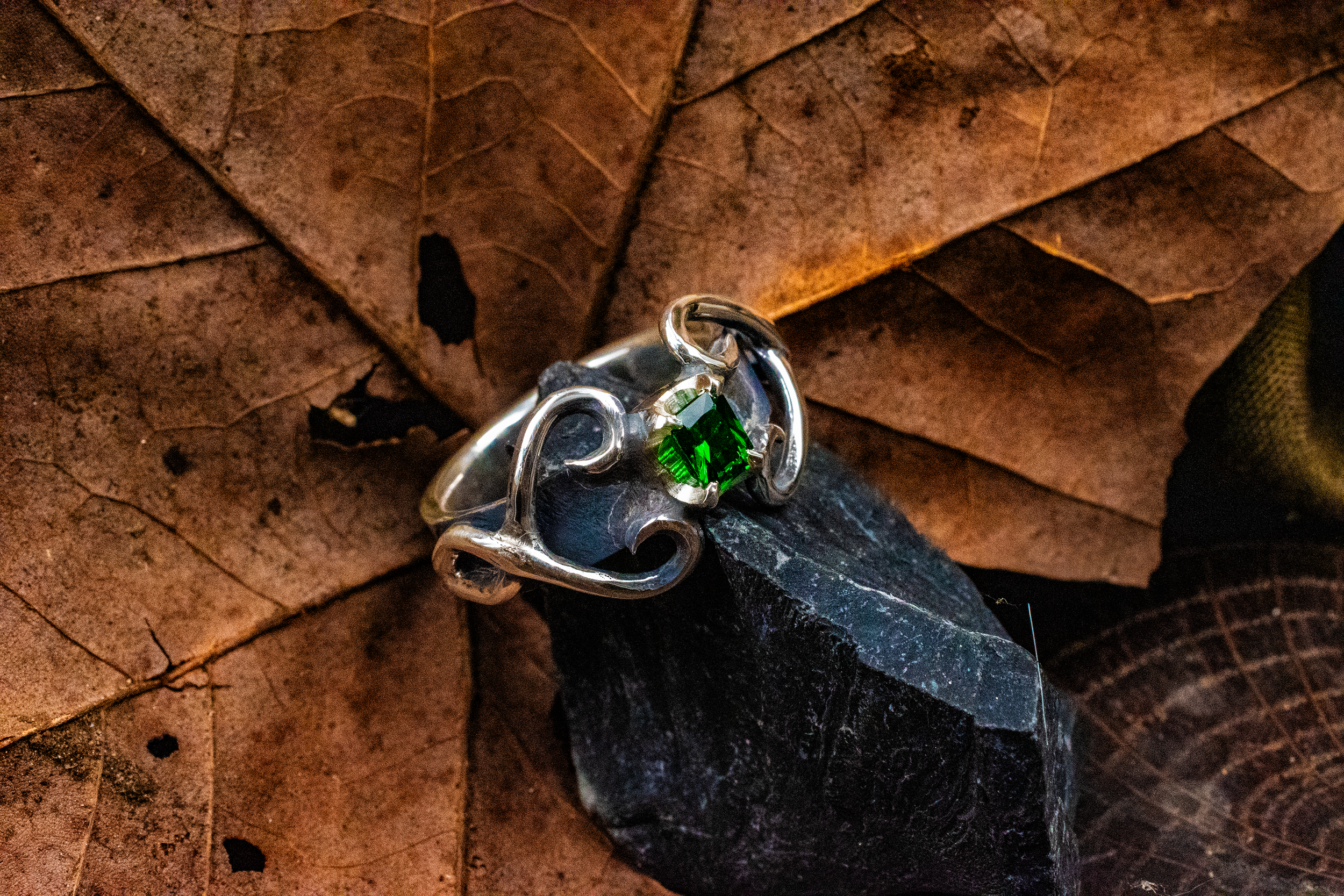 DSC_0009.png