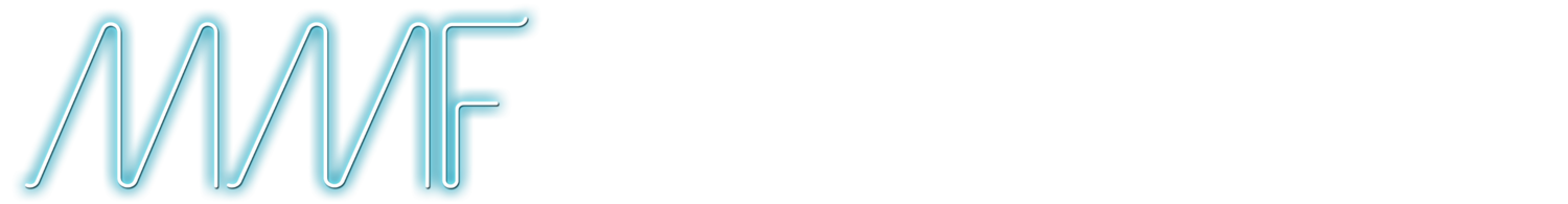 Miami Music Festival