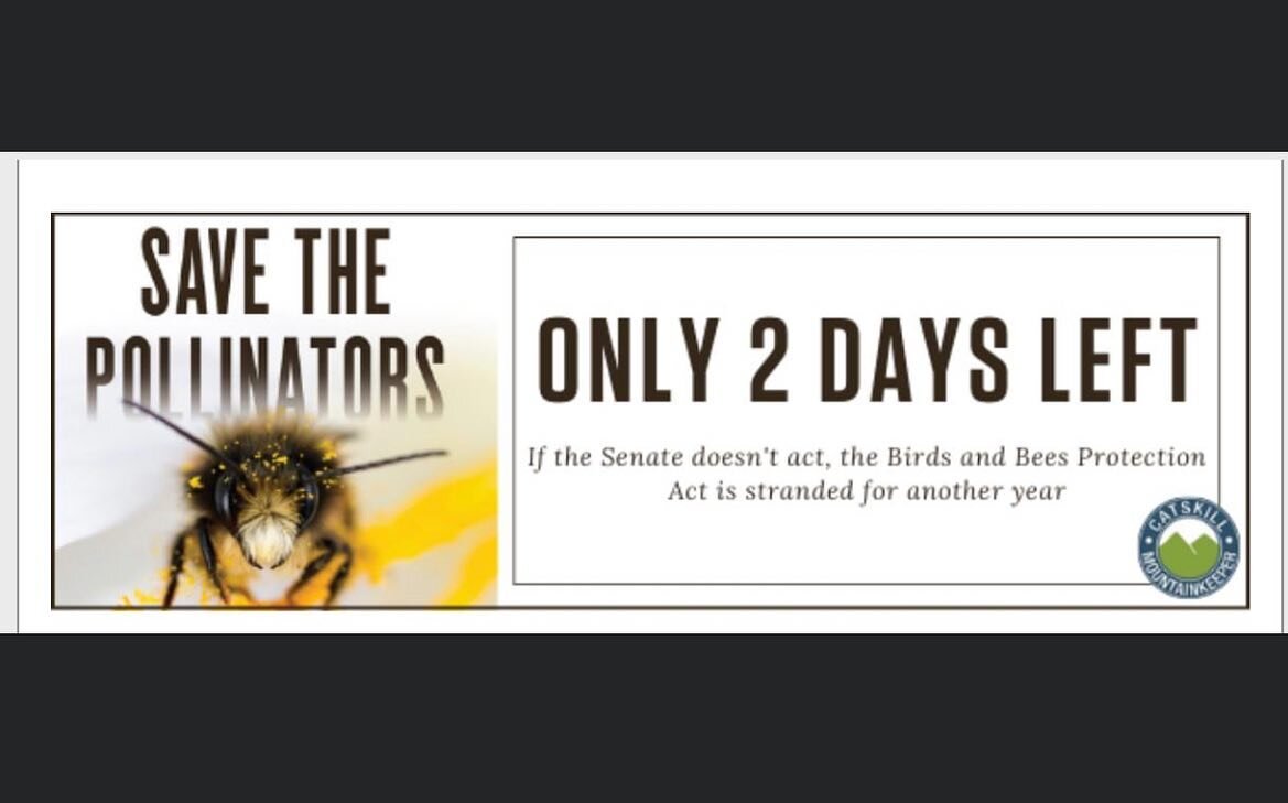 Please take a moment to call or email Senate Majority Leader Stewart-Cousins and Deputy Majority Leader Gianaris, and ask them to bring the bill to the Senate floor for a vote today!
https://mountainkeeper.good.do/savethepollinators/senatebbpa/