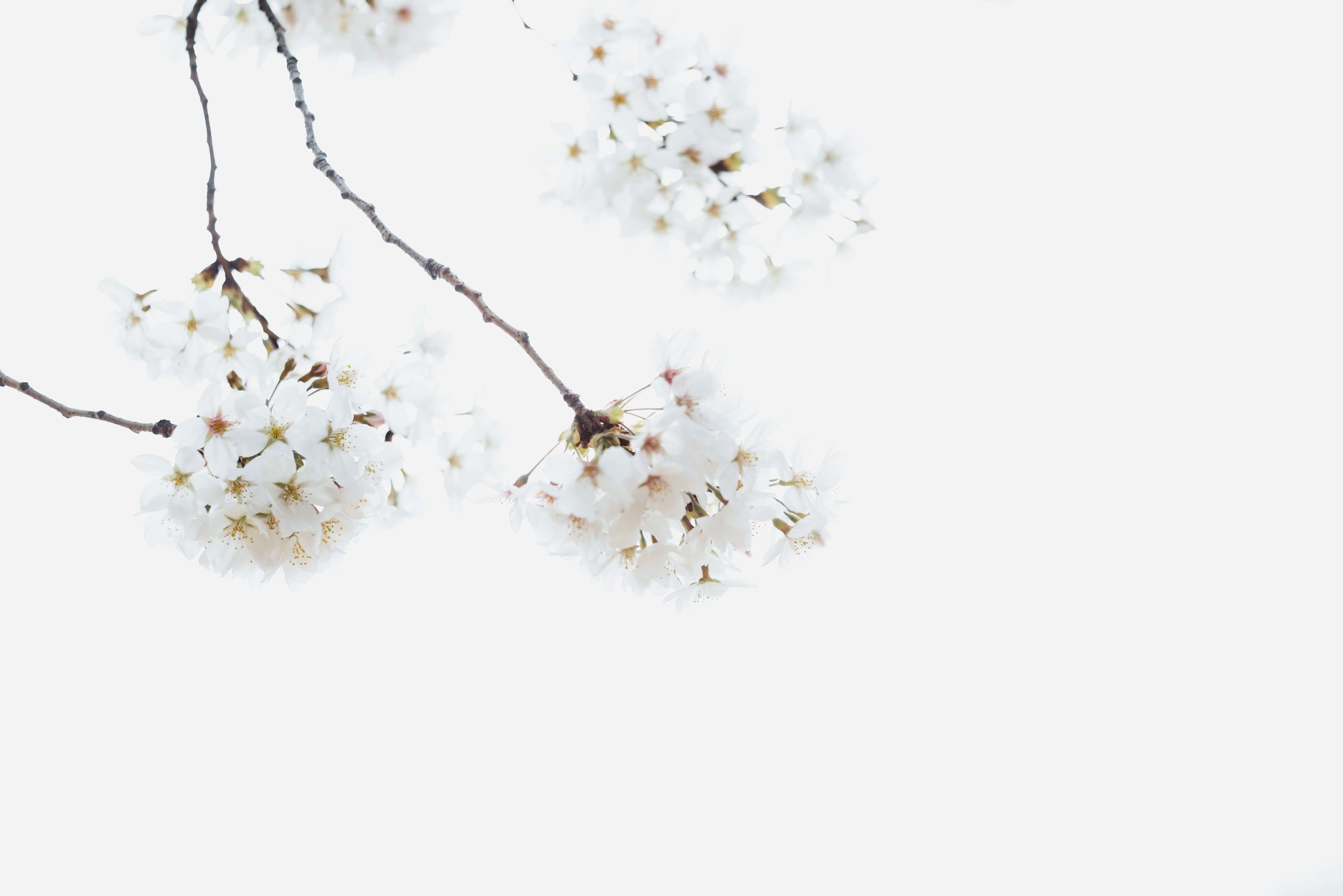 Self-Compassion: How To Be Kind To Yourself When You Have ADHD