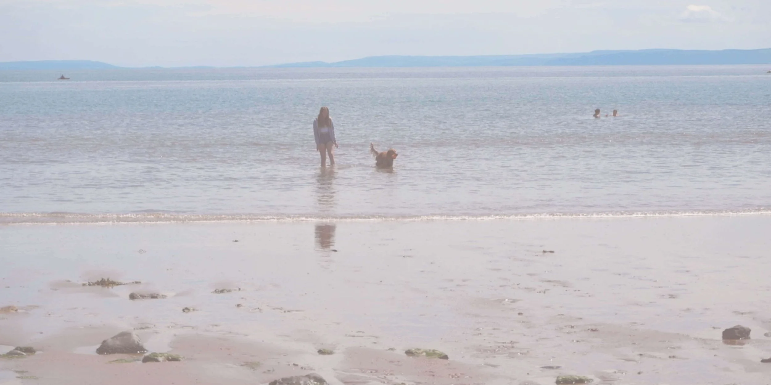 Person and dog wading in shallow ocean water at a beach, distant swimmers visible, cloudy sky.