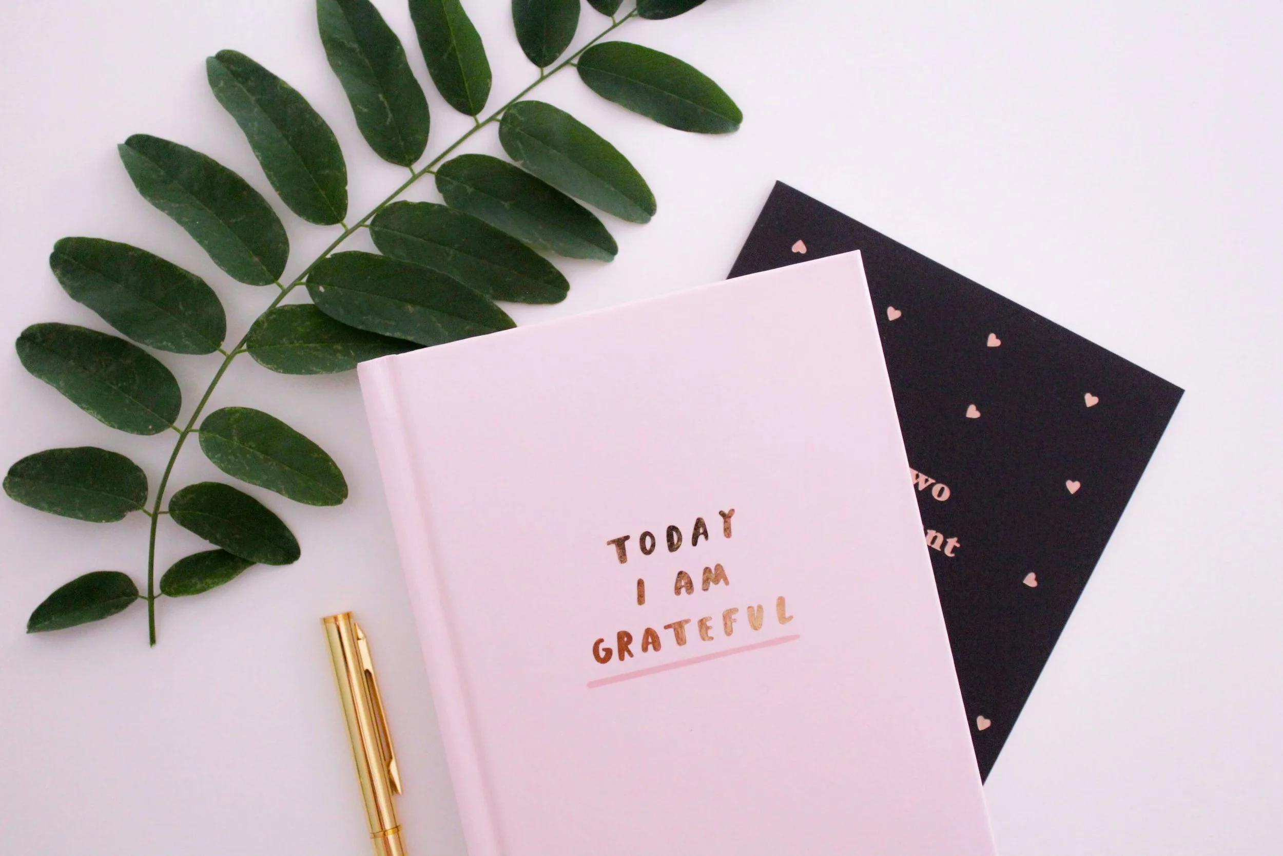 daily gratitude journaling