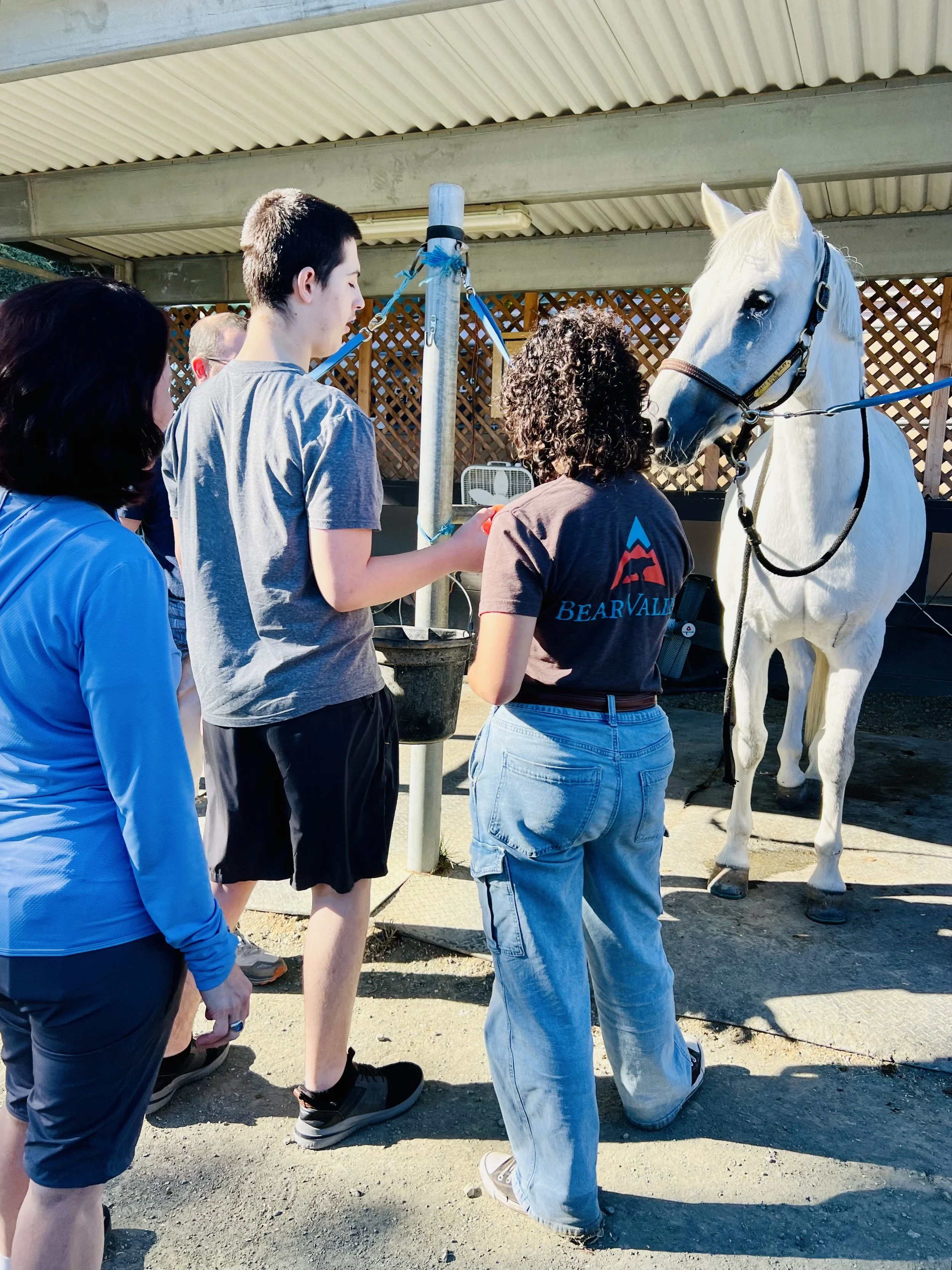 Micah with horse.JPG