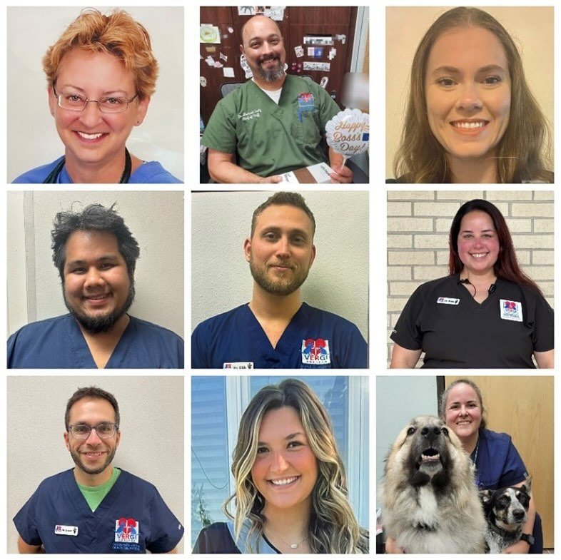 👩&zwj;⚕️🩺👨&zwj;⚕️ #WorldVeterinaryDay (Saturday) 👨&zwj;⚕️🩺👩&zwj;⚕️
We celebrated our incredible team of emergency and critical care veterinarians on World Veterinary Day! This day was created to recognize doctors who have dedicated their lives 