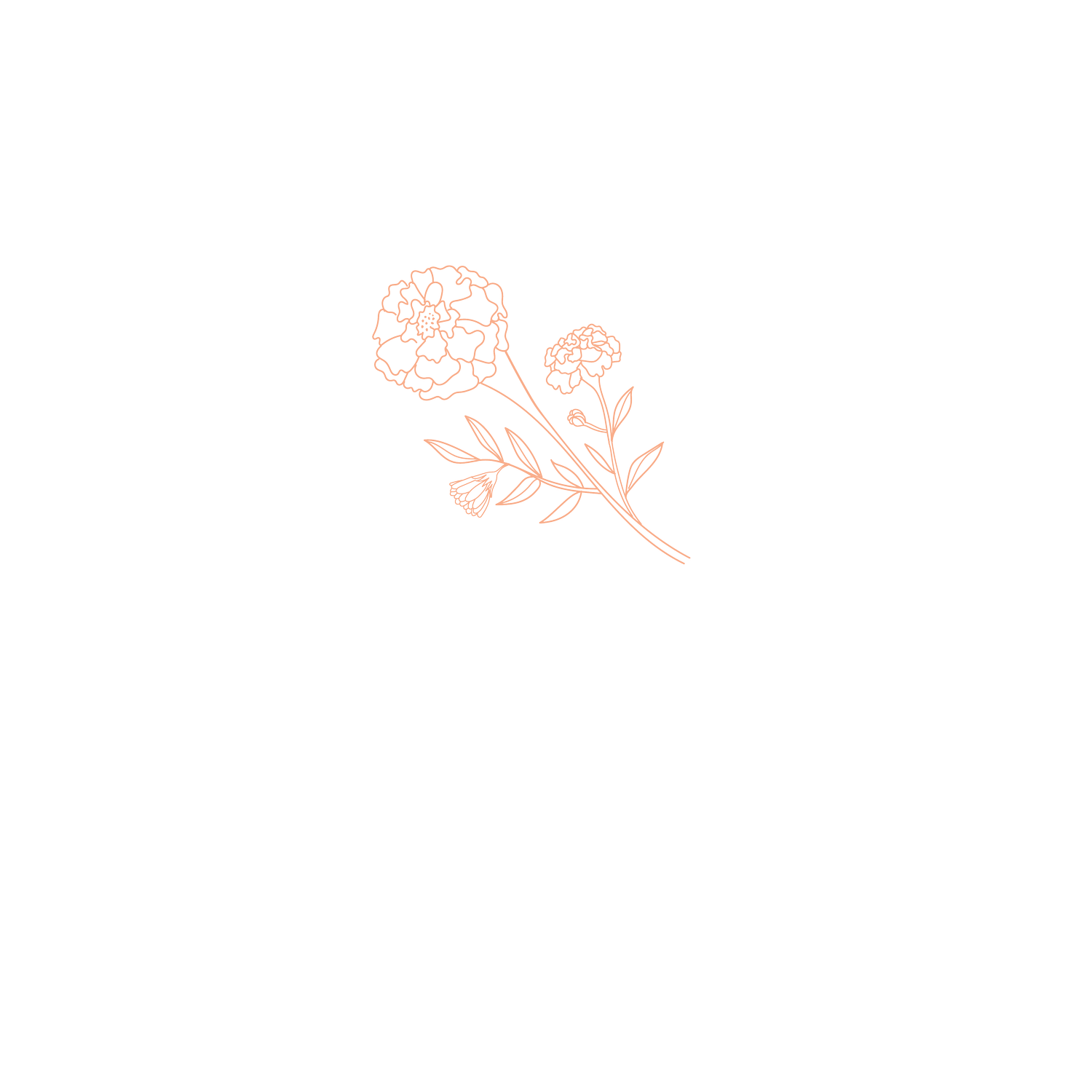 Marigold